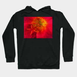 closeup of single floral fantasy with delicate stamens Hoodie